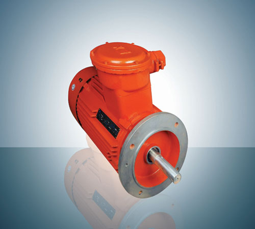 新菱牌防爆电机